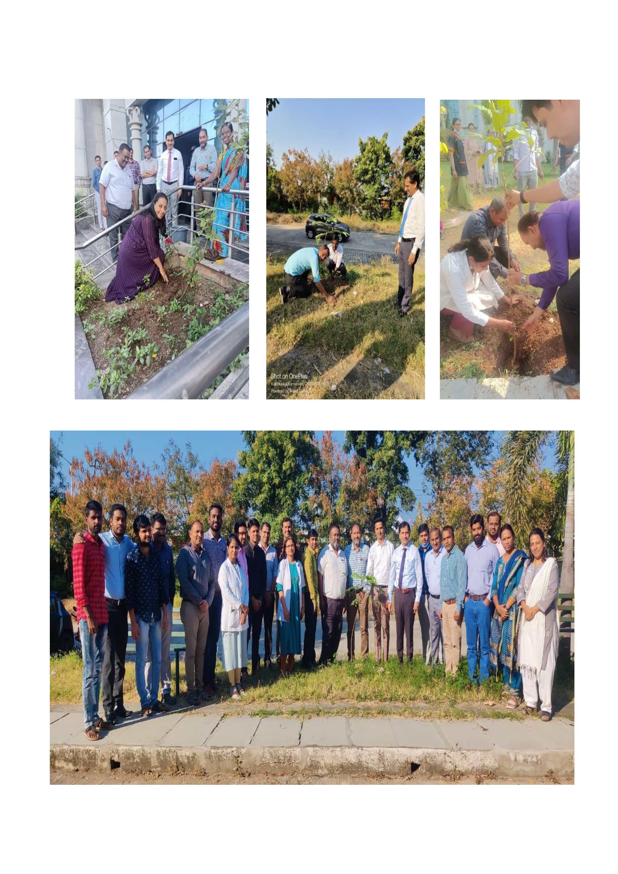 Plantation